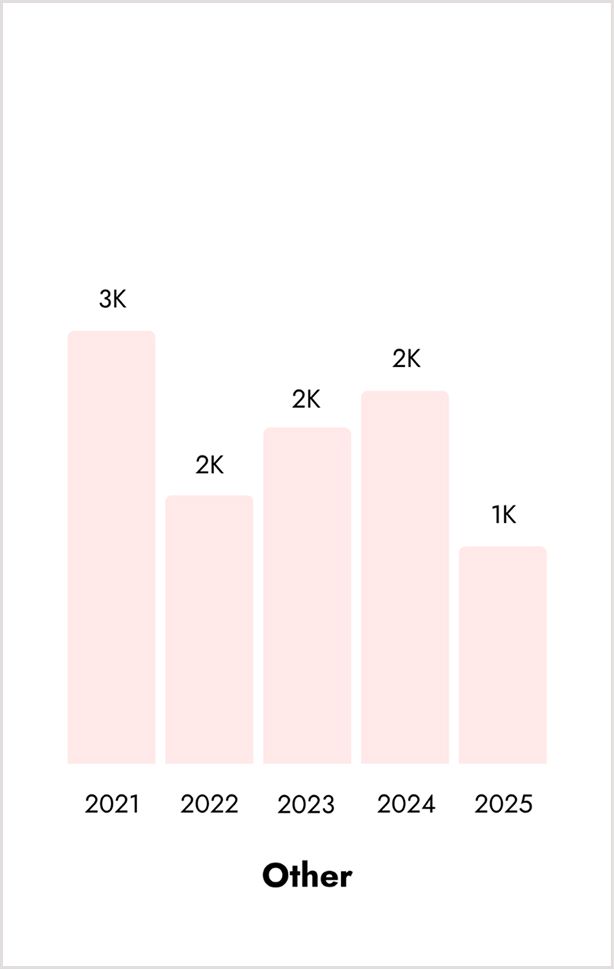 Bar graph showing "Other" data from 2021 to 2025.