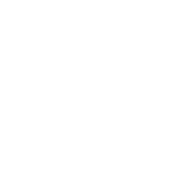 A white rectangle representing the image's bounding box.