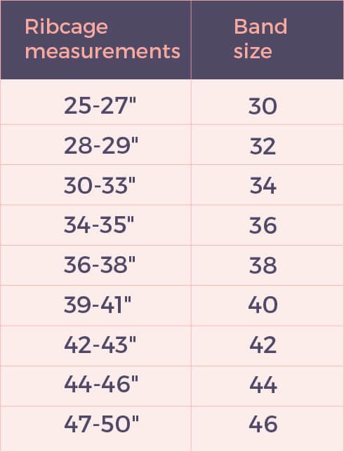 Visual Bra Size Chart & Fit Guide, Bra Sizes Chart