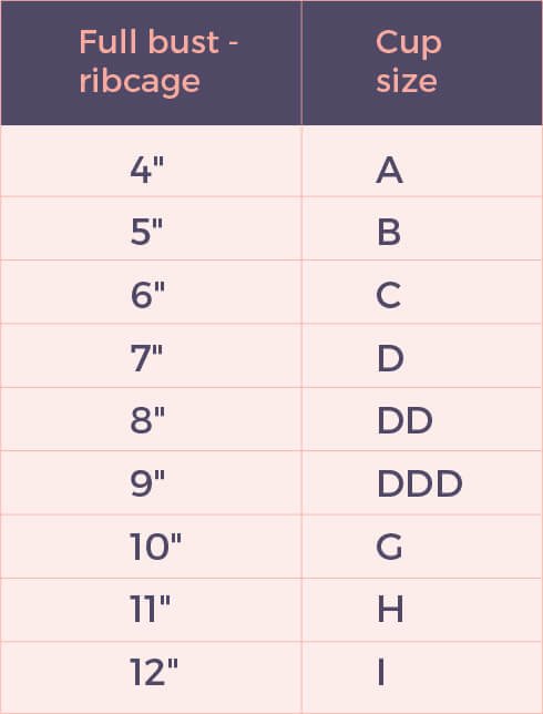 Bra Size Chart for Women