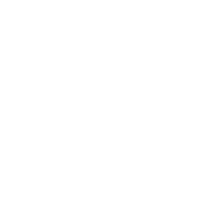 White rectangular background.