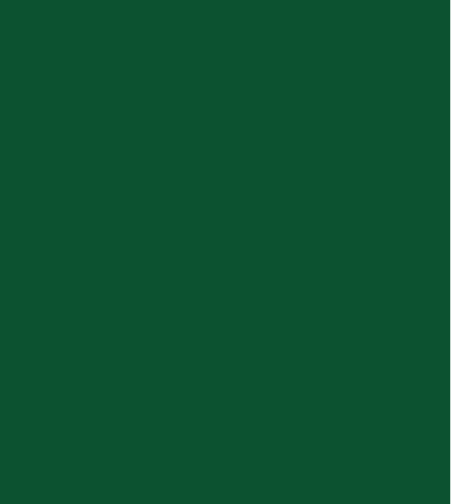 A solid, dark green color swatch.