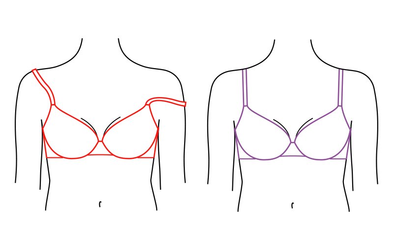 Adore Me  The Best Bras for Your Boob Shape on Vimeo